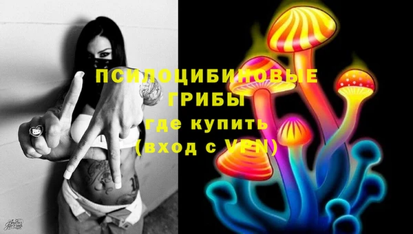 ALPHA PVP Медвежьегорск