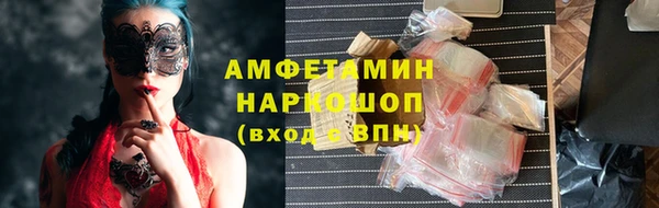 индика Горняк