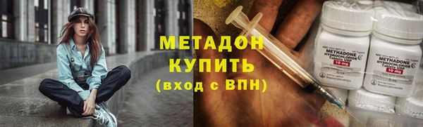 прущие грибы Вязники