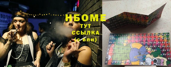 прущие грибы Вязники