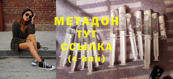 прущие грибы Вязники