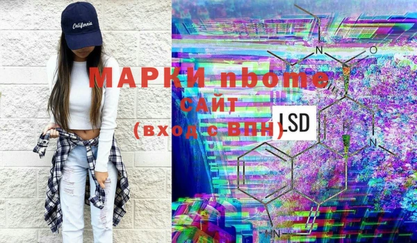 прущие грибы Вязники