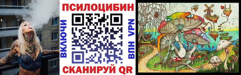 Псилоцибиновые грибы мухоморы  где купить наркоту  Дрезна 